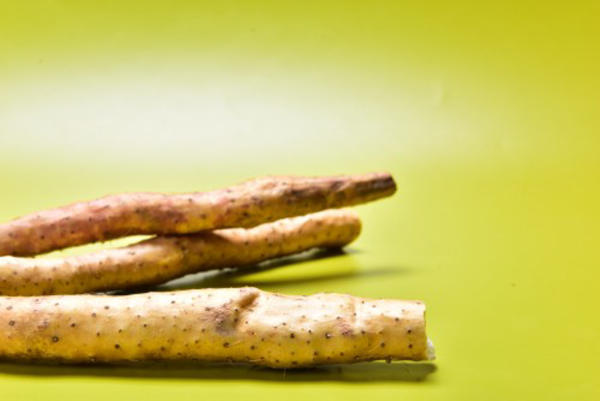 Chinese yam