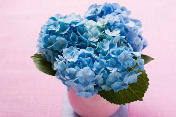 Flower Basket of Eight Immortals
