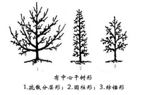 crape myrtle soil