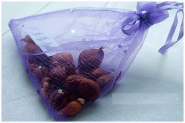 Method for preserving oxalis seed ball