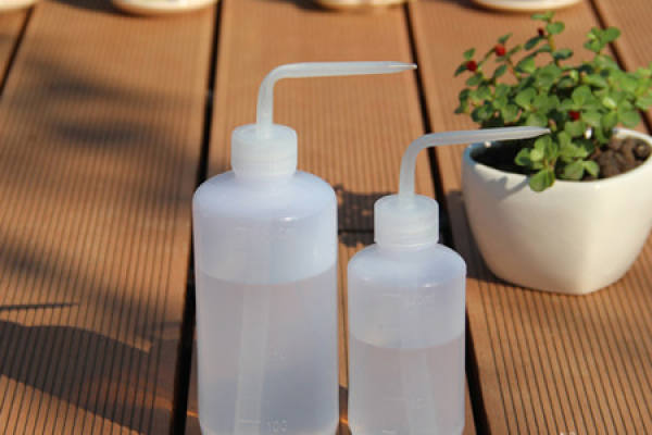 A small sprayer for succulents.