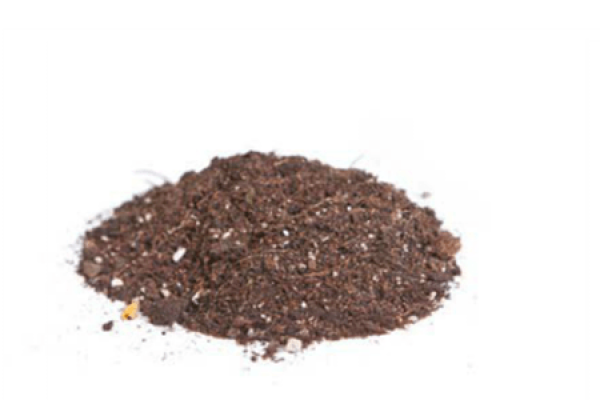 Fertile garden soil suitable for succulent plants