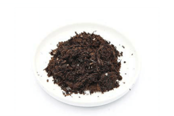 Fertile garden soil suitable for succulent plants