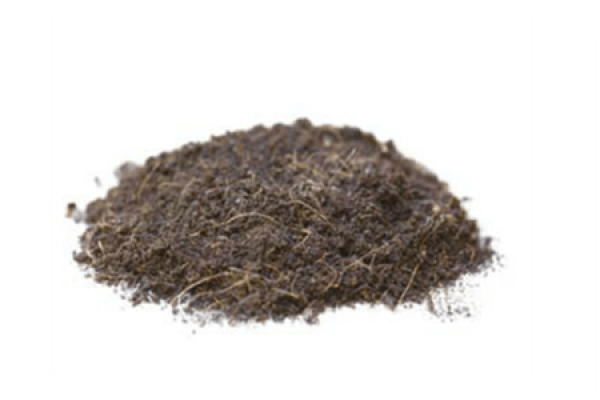 Fertile garden soil suitable for succulent plants