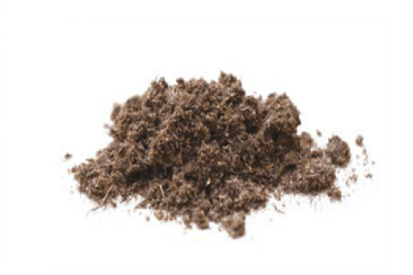 Fertile garden soil suitable for succulent plants