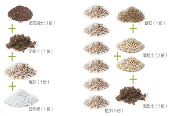 fertile garden soil suitable for succulent plants