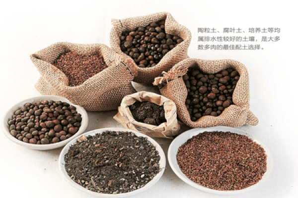 fertile garden soil suitable for succulent plants