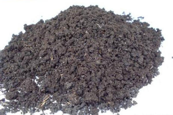 Cyclamen soil