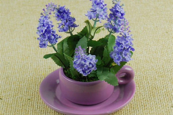 Container for pot lavender