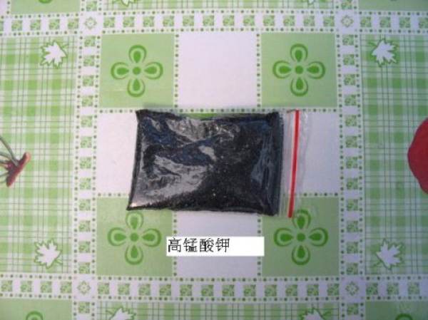 Rich bamboo in need of pruning Rich bamboo in need of pruning