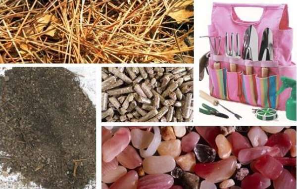 Planting material