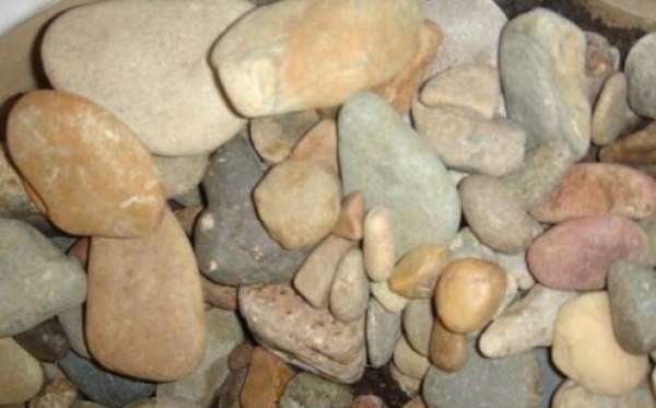 Planting material