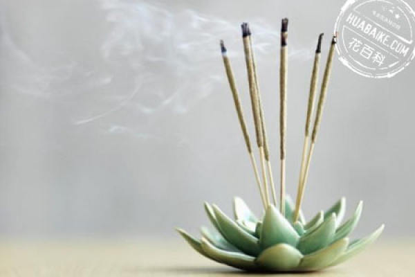 Purification Function of Qingxiangmu