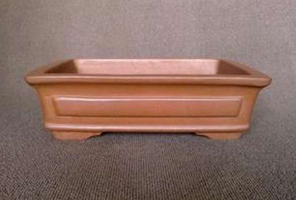 Rhododendron flower sorting pot