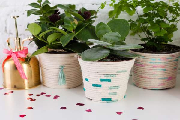 Green Planting