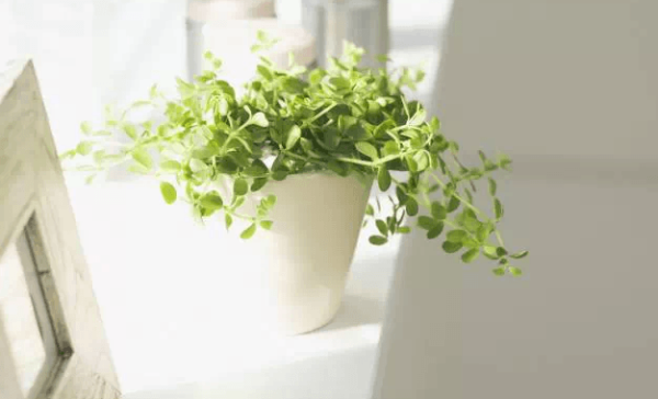 Daylighting