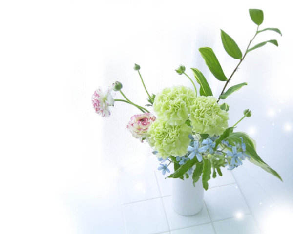 What is the best water for watering flowers at home?
