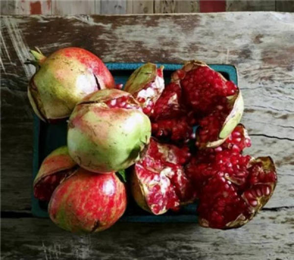 Planting pomegranate flowers: preparing material