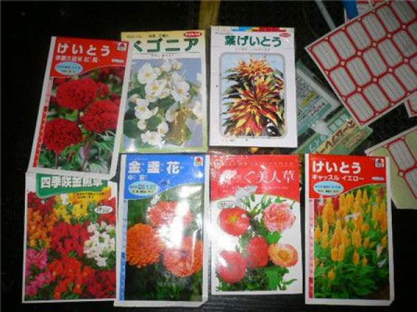 Sowing time of calendula