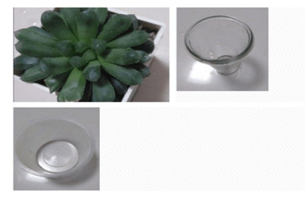 Yulu stuffy step