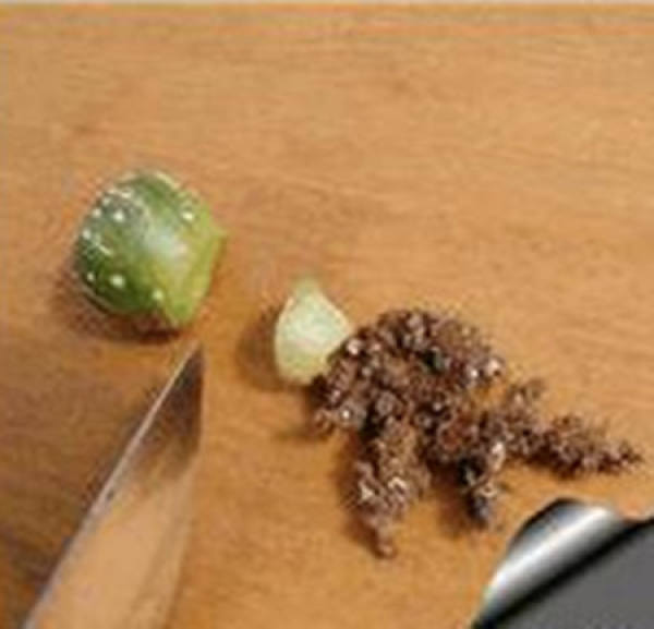 The first step of star grafting: raw material preparation The first step of star grafting: raw material preparation
