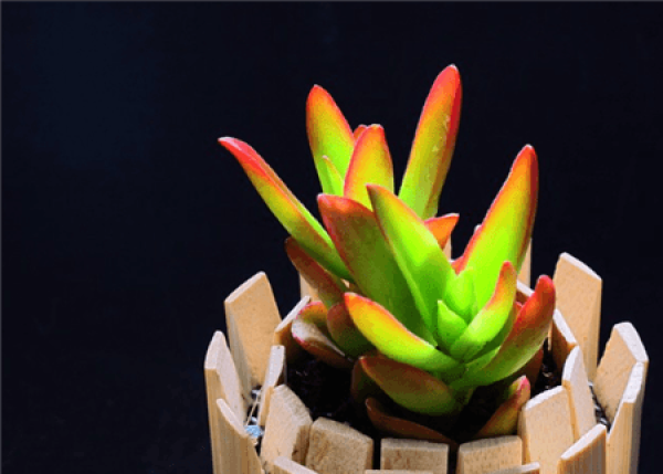 Winter conservation of fire sacrifice: sunshine