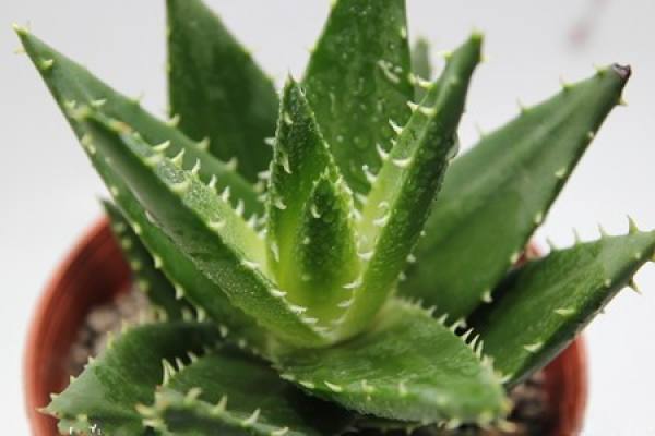 The city that never sleeps