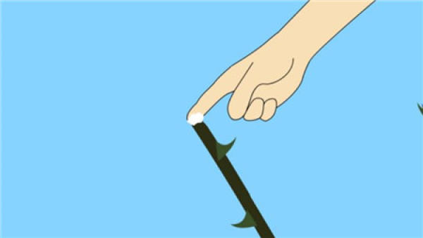 Prune roses after frost