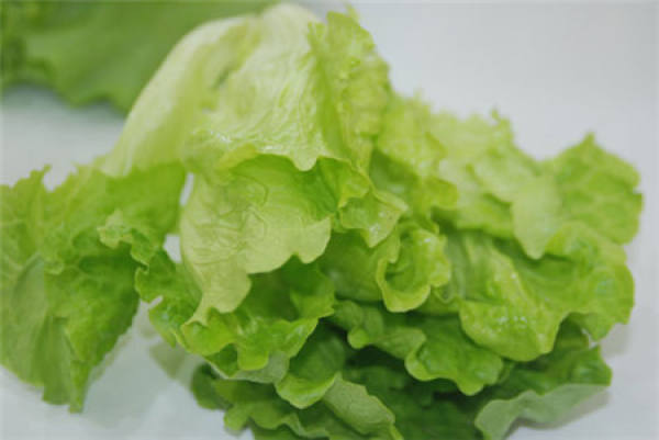 Head Lettuce