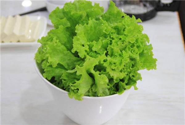 growth temperature of lettuce