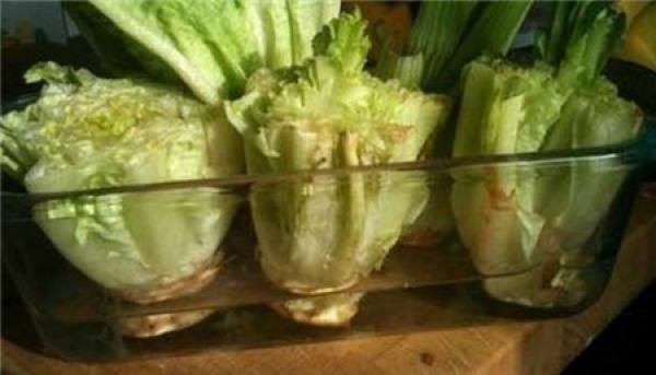 Romaine lettuce