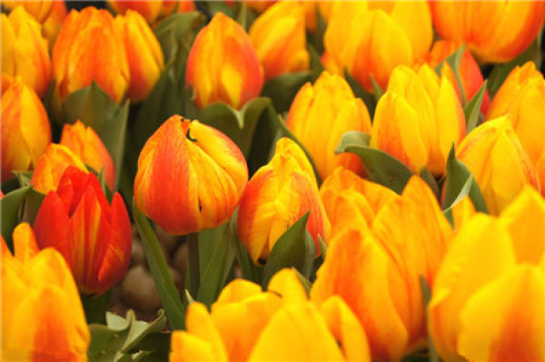It is used to describe that the throat is blocked by blood.