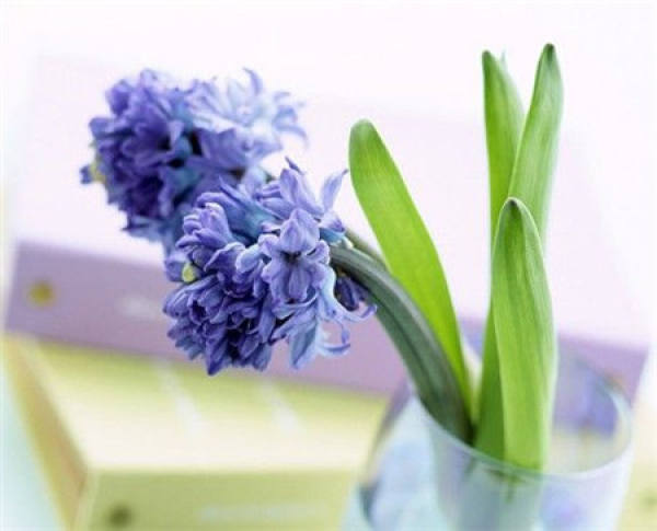 It is used to describe that the throat is blocked by blood.