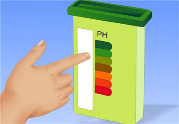 Determine the acidity or alkalinity of soil