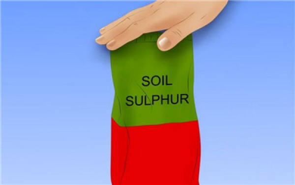 Determine the acidity or alkalinity of soil