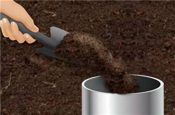 Determine the acidity or alkalinity of soil