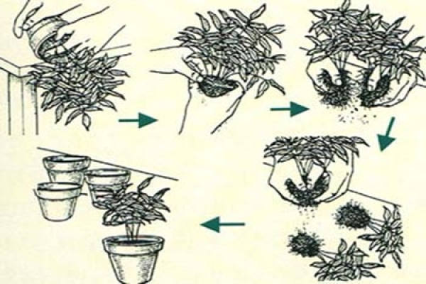 layering method