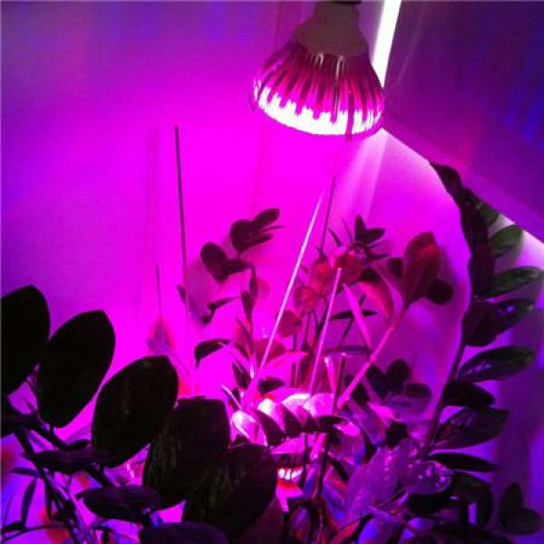 Indoor light supplementing method