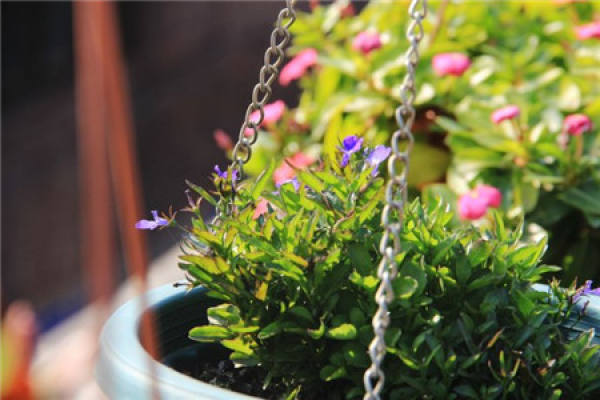 Indoor light supplementing method