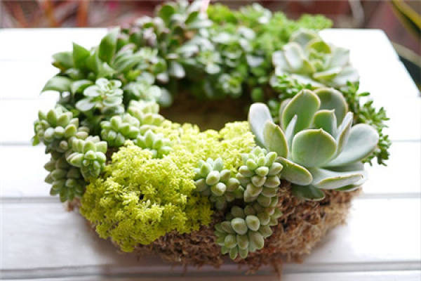 Duality of repotting