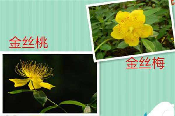 golden thread plum