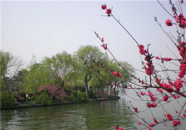 Even the Taohuatan is a thousand feet deep, it cannot compare to the friendship of Wang Lun seeing me off.