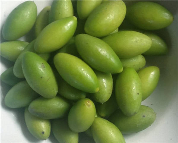 Green Olive Sandalwood