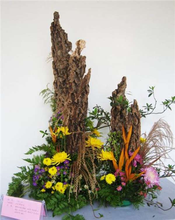Chrysanthemum flower arrangement appreciation