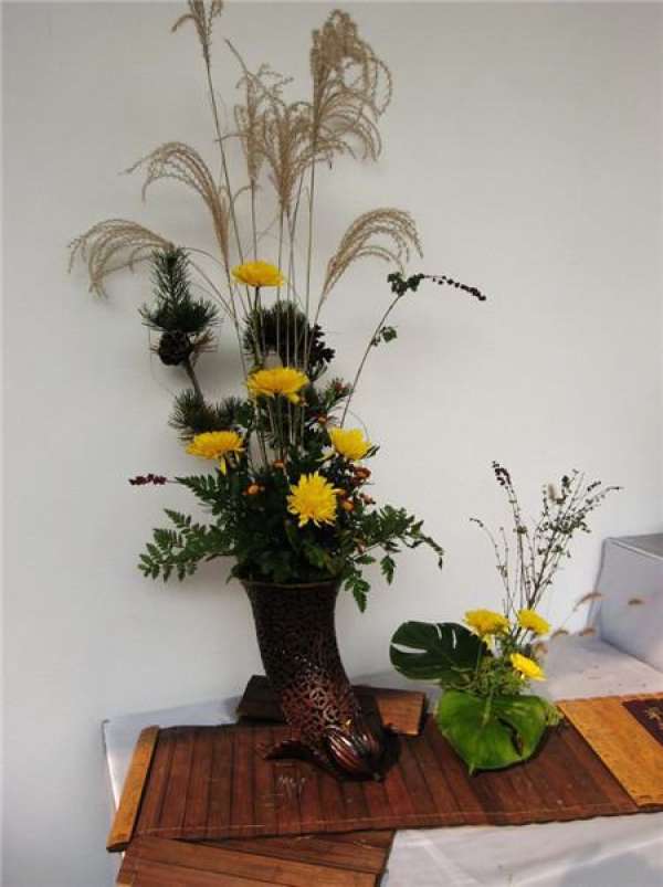 Chrysanthemum flower arrangement appreciation