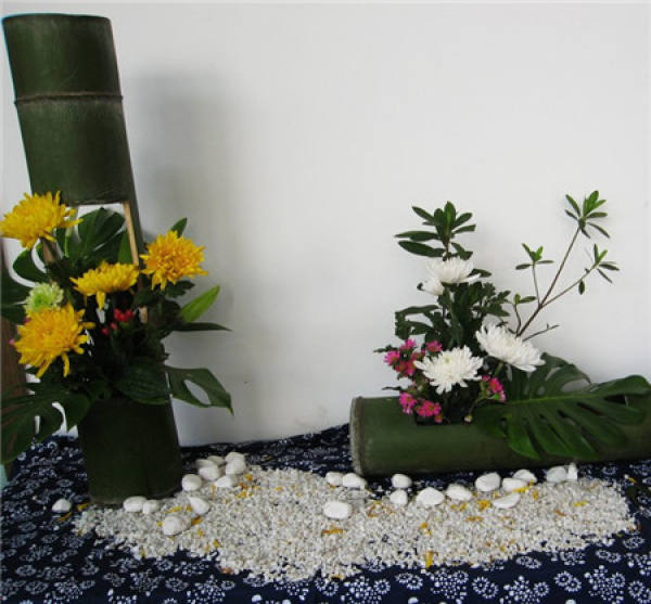 Chrysanthemum flower arrangement appreciation