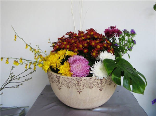 Chrysanthemum flower arrangement appreciation