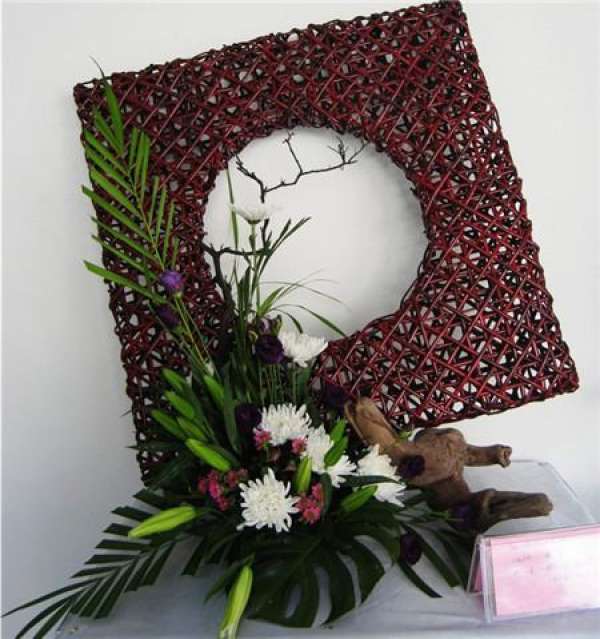 Chrysanthemum