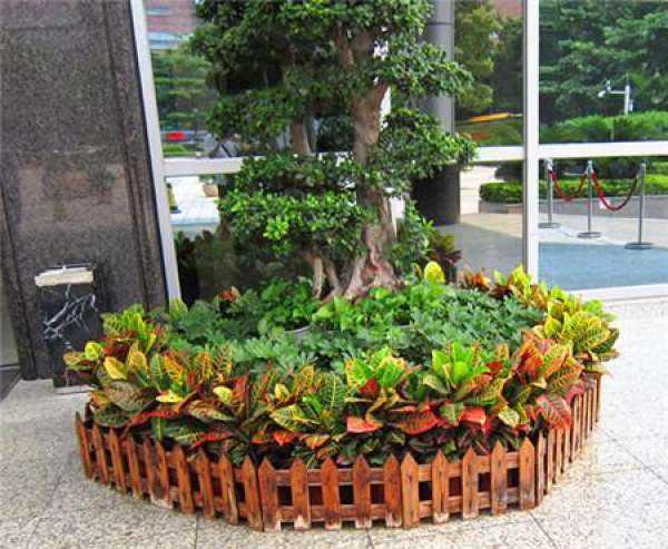 What should we pay attention to in family flower cultivation?