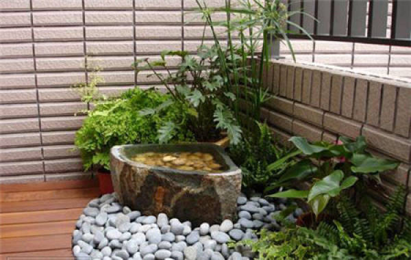 What should we pay attention to in family flower cultivation?